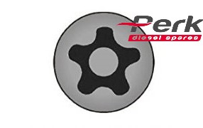 5 Star T20 Key for Bosch PDE Pump Screw euro diesel