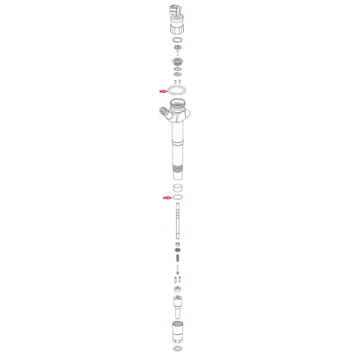 Body O'Ring Kit Denso C/R euro diesel