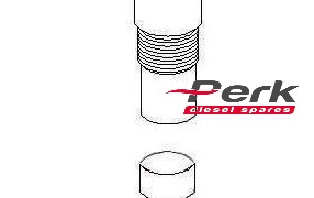 Intermediate Disc Spacer Denso C/R euro diesel