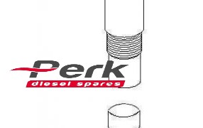 Nozzle Cap Nut Denso C/R euro diesel