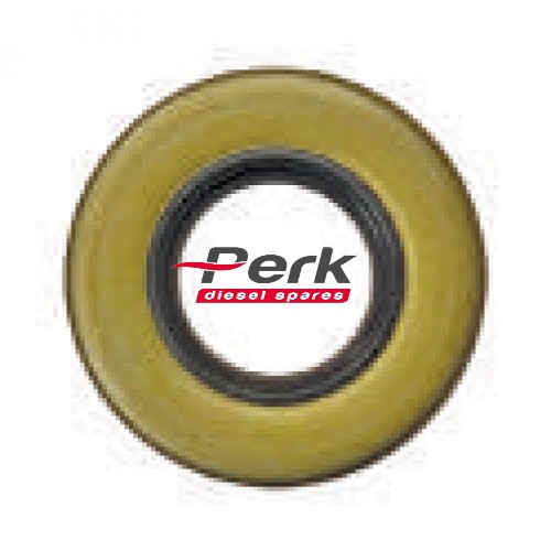 diesel spare P5-04077 1420282001